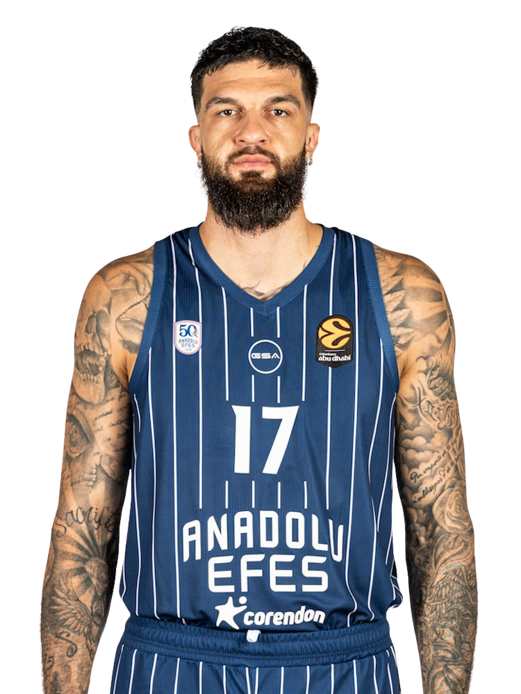 Vincent Poirier